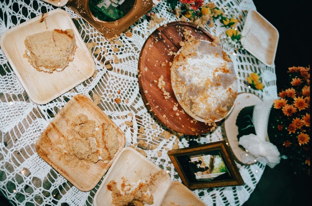 North Georgia wedding captured on film of Julia and Noah surrounded by mountain landscape