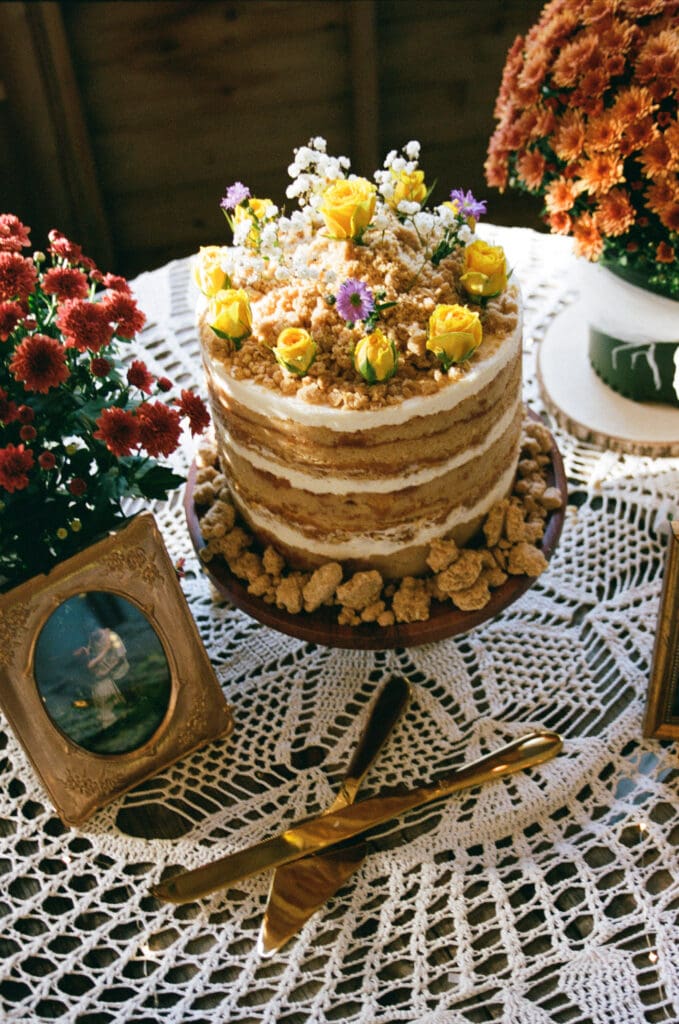 North Georgia wedding captured on film of Julia and Noah surrounded by mountain landscape